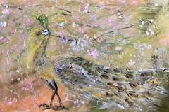 64c5a865e2a4964fb017460d098c0f03